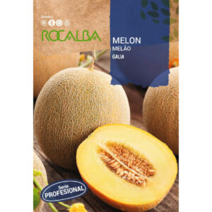MELÓN HIBRIDO GALIA