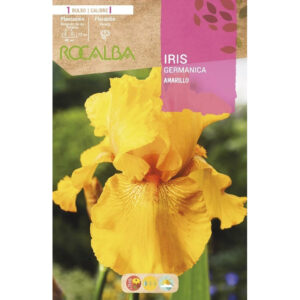 IRIS GERMANICA AMARILLO UN BULBO