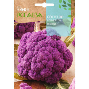 COLIFLOR CATANESE