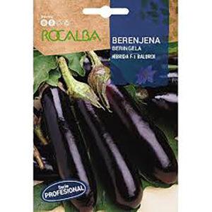 BERENJENA HIBRIDA F1 BALUROY