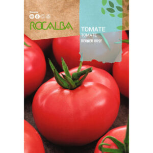 TOMATE ROSA DE BERNA BERNER ROSE