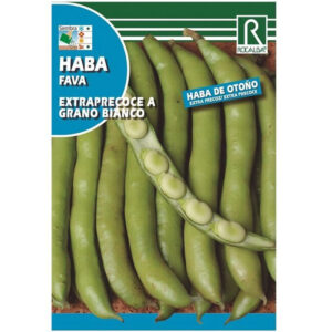 HABA EXTRAPRECOCE A GRANO