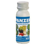 PANZER -JED- 10 CC