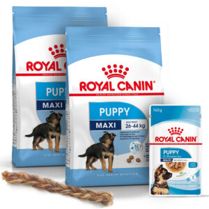 Pack ROYAL CANIN Maxi Puppy