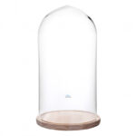 CÚPULA CON BASE DE MADERA 40 X 20 CMS TRANSPARENTE