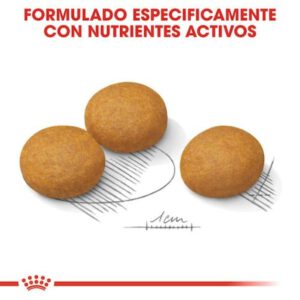 DERMACOMFORT MAXI 12 KG ROYAL CANIN