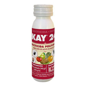 KAY 24 EW -JED- 8 CC