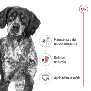 MEDIUM ADULT PERRO MOUSSE LATA 410 GR.