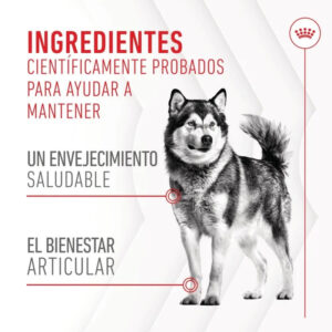 SNACK JOINT & AGEING AD 240 GR