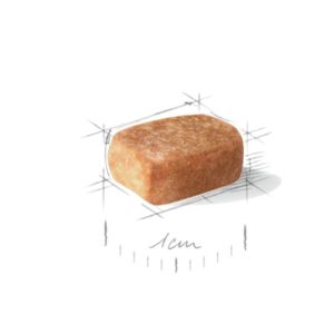 5 KG