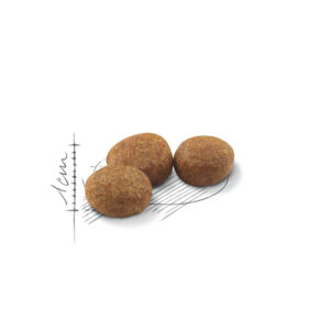 STERILISED 37 REGULAR 2 KG