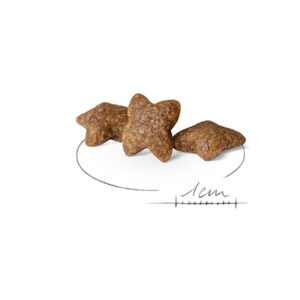 MINI ADULT  800 G