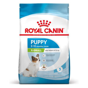 X SMALL PUPPY 1