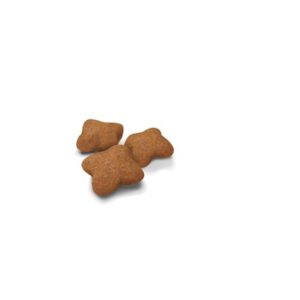 KITTEN STERILISED SECOND AGE 400 GR