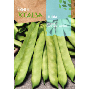 JUDIA BREDERO MATA BAJA 250GR.