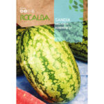 SANDIA KLONDIKE RS 57 10 GR