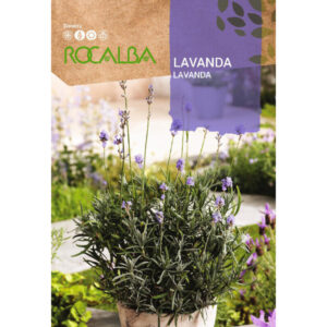 LAVANDA ESPLIEGO SOBRE 1 GR