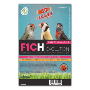 F1CH ENERGY MAX PLUS E EVOLUTION