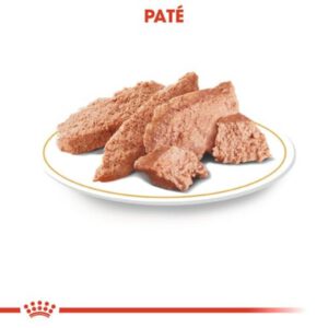 CHIHUAHUA ADULT 85 GR