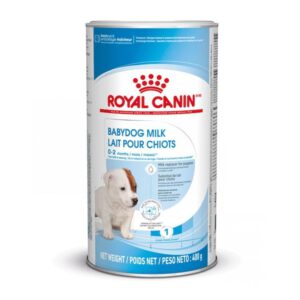 Baby Dog Milk
