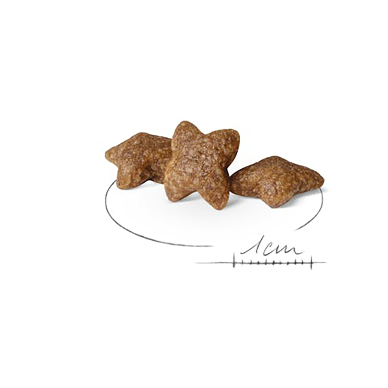 MINI ADULT 8 KG Mini Adult  8 Kg