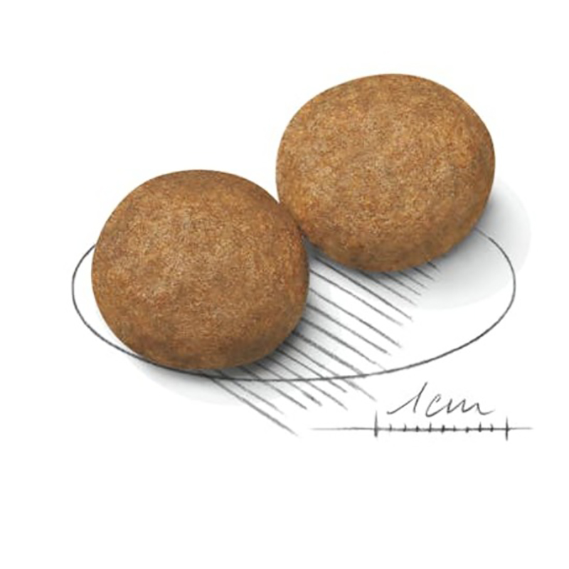 MEDIUM ADULT 4 KG Medium Adult 4 Kg