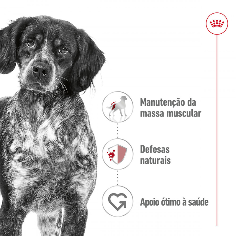 MEDIUM ADULT PERRO MOUSSE LATA 410 GR. Medium Adult Perro Mousse Lata 410 Gr.