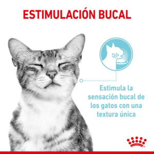 SENSORY FEEL GRAVY SALSA CAT 85 GR