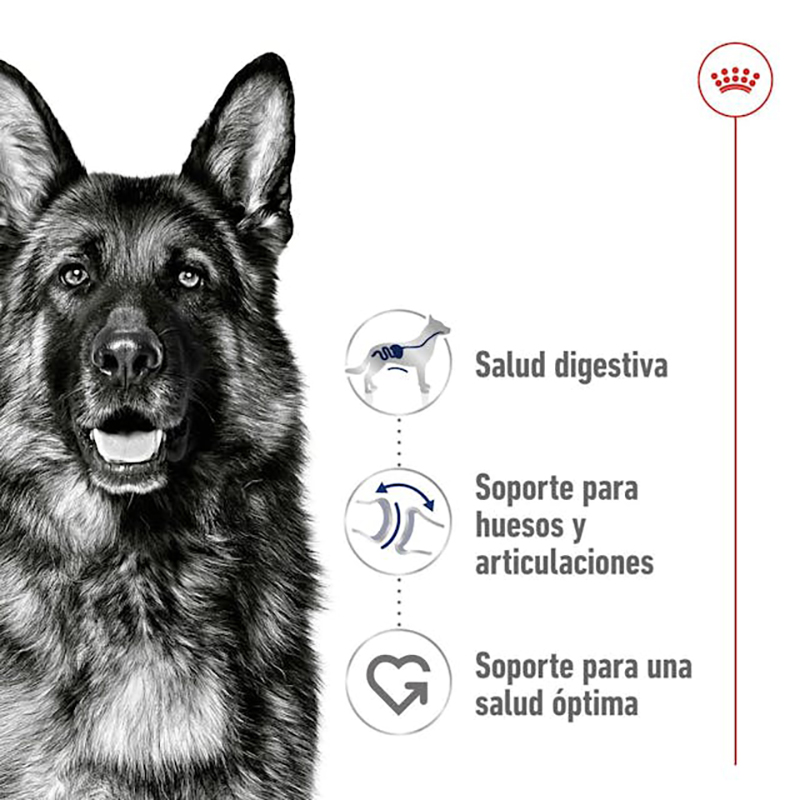 MAXI ADULT 15 KG Maxi Adult 15 Kg