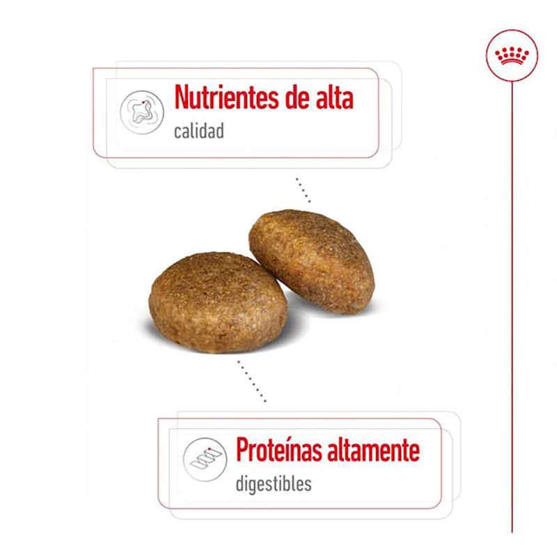 MAXI ADULT 15 KG Maxi Adult 15 Kg