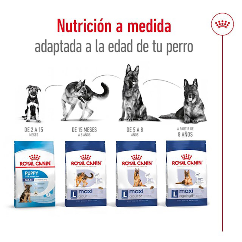 MAXI ADULT 15 KG Maxi Adult 15 Kg