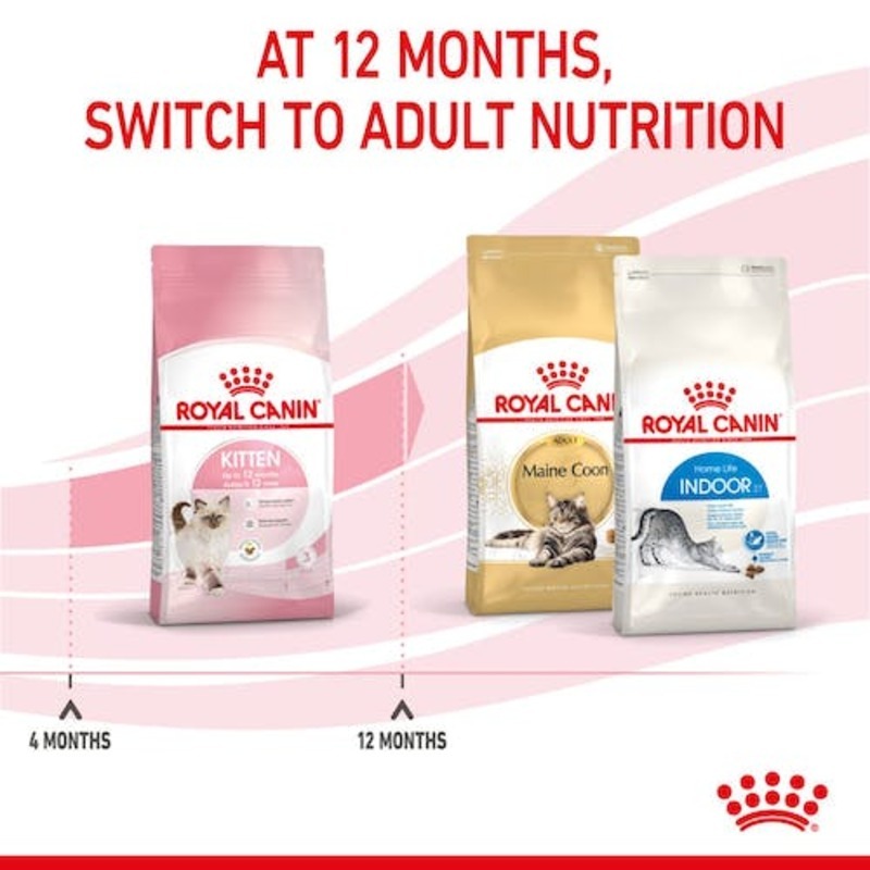 KITTEN SECOND AGE 400 GR Kitten Second Age 400 Gr