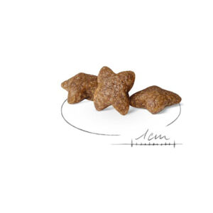 MINI ADULT 4 KG