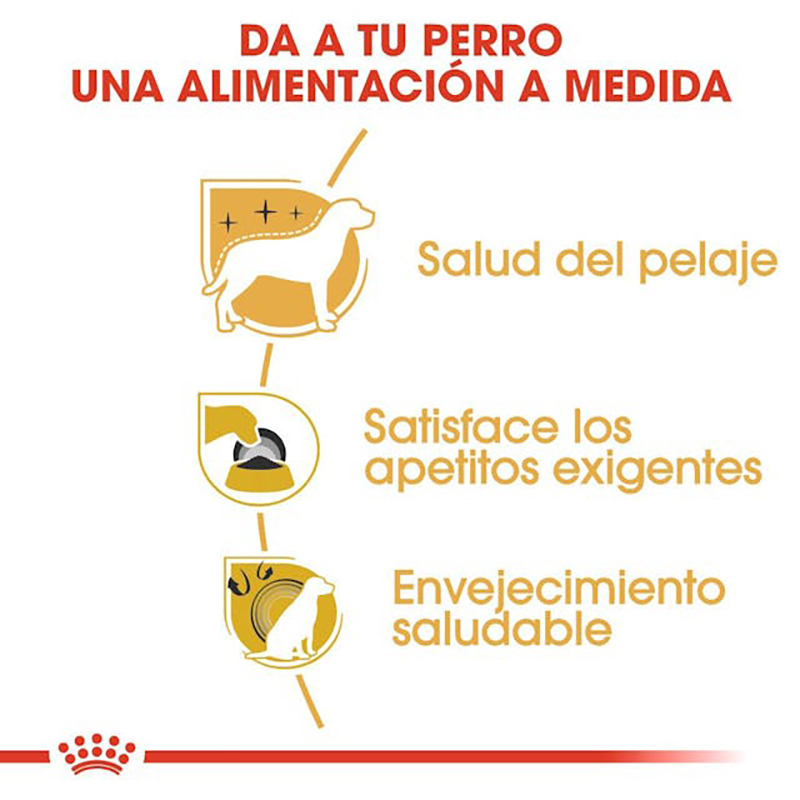 Royal Canin Yorkshire Terrier Adult para perros 3 kg Royal Canin Yorkshire Terrier Adult Para Perros 3 Kg