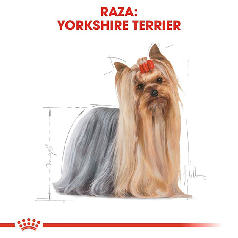 Royal Canin Yorkshire Terrier Adult para perros 3 kg Royal Canin Yorkshire Terrier Adult Para Perros 3 Kg