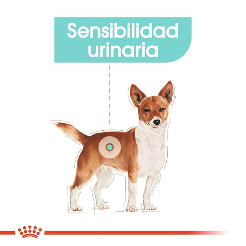 Royal Canin Mini Urinary Care 3 kg Royal Canin Mini Urinary Care 3 Kg