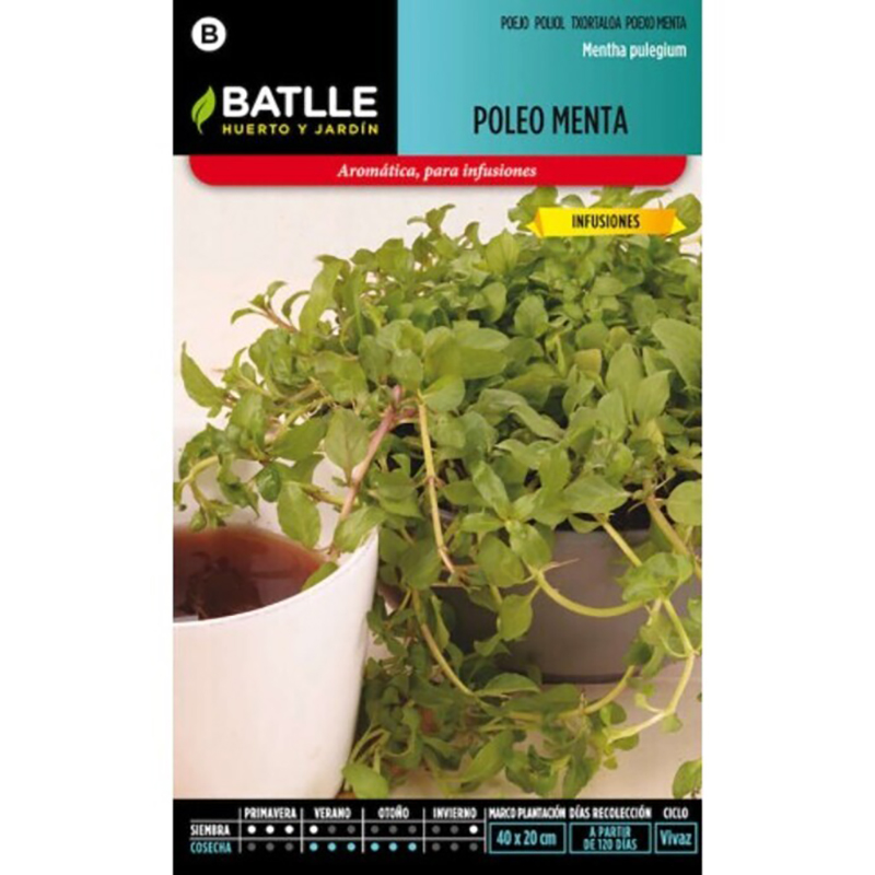 Semillas de poleo Menta 0,2 g – Batlle Semillas De Poleo Menta 0,2 G – Batlle