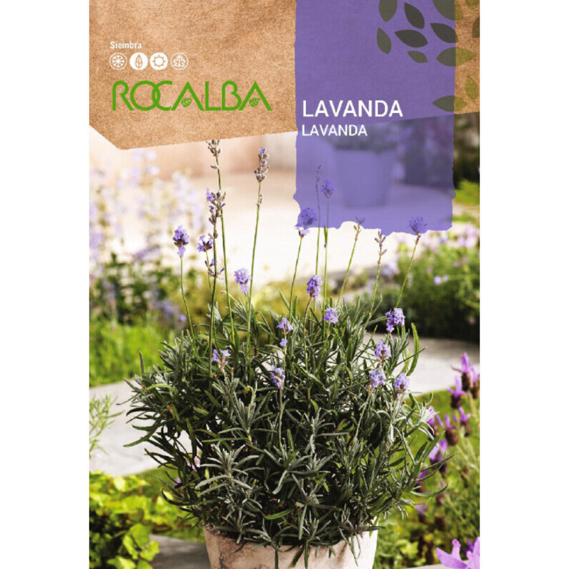 Lavanda Espliego 1 g Lavanda Espliego 1 G