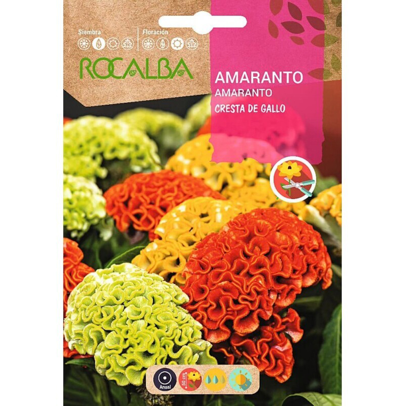Semillas de amaranto Cresta de Gallo Variado 2 g – Rocalba Semillas De Amaranto Cresta De Gallo Variado 2 G – Rocalba