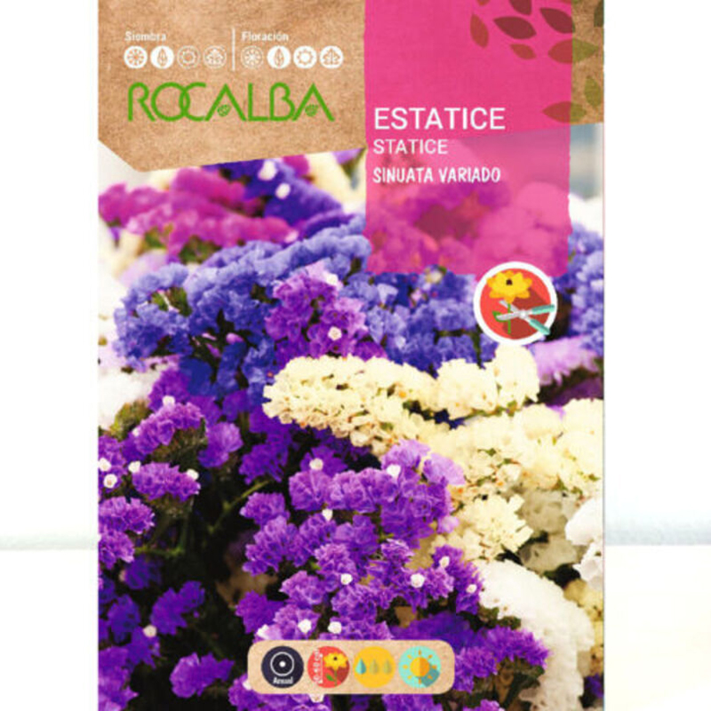 Estatice Sinuata Variada 1 g Estatice Sinuata Variada 1 G