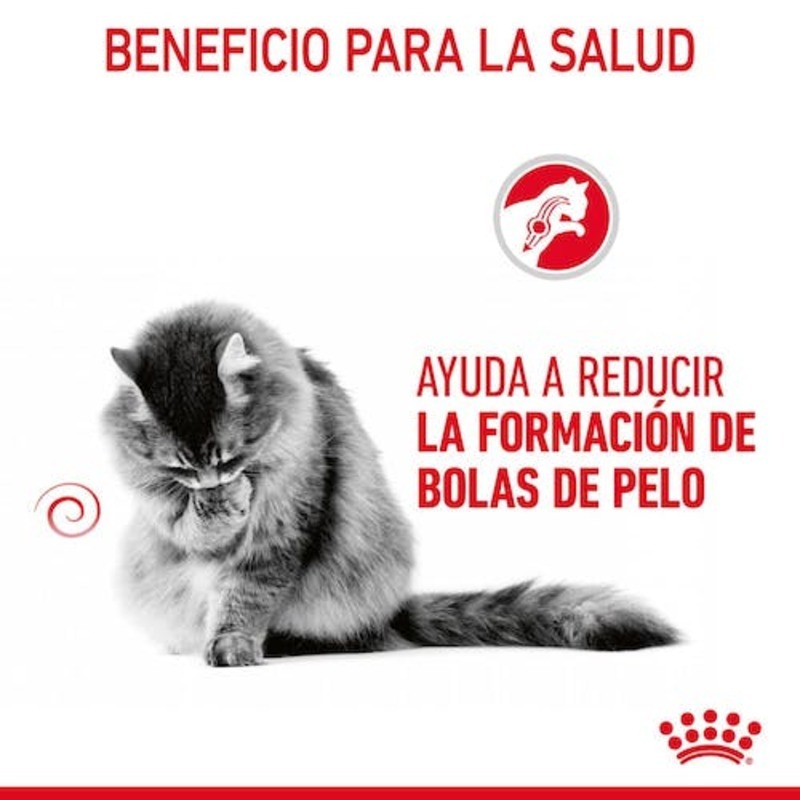 HAIRBALL CARE 85 GR Hairball Care 85 Gr