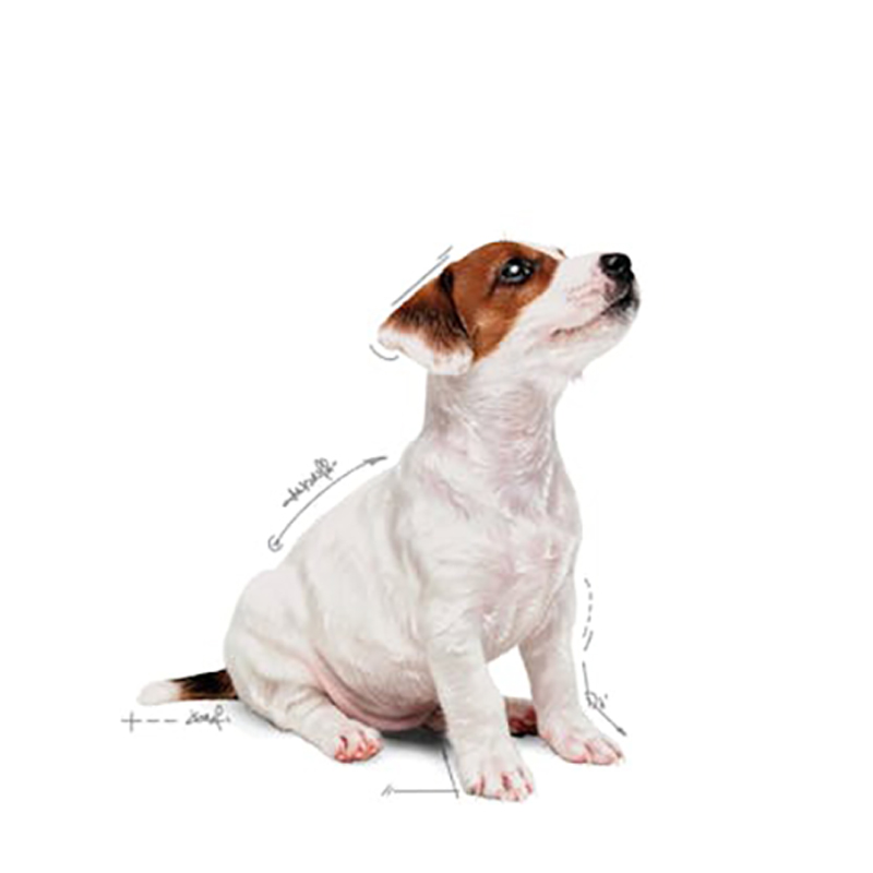 MINI PUPPY SOBRE 85 GR. Mini Puppy Sobre 85 Gr.