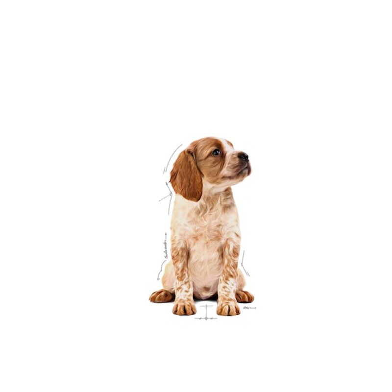 MEDIUM PUPPY SOBRE 140 GR. Medium Puppy Sobre 140 Gr.