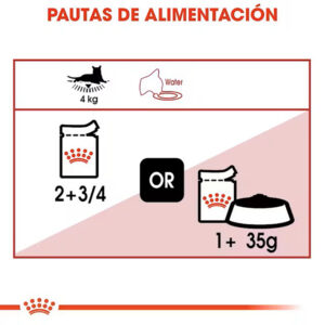 INSTINCTIVE GRAVY SALSA CAT 85 GR