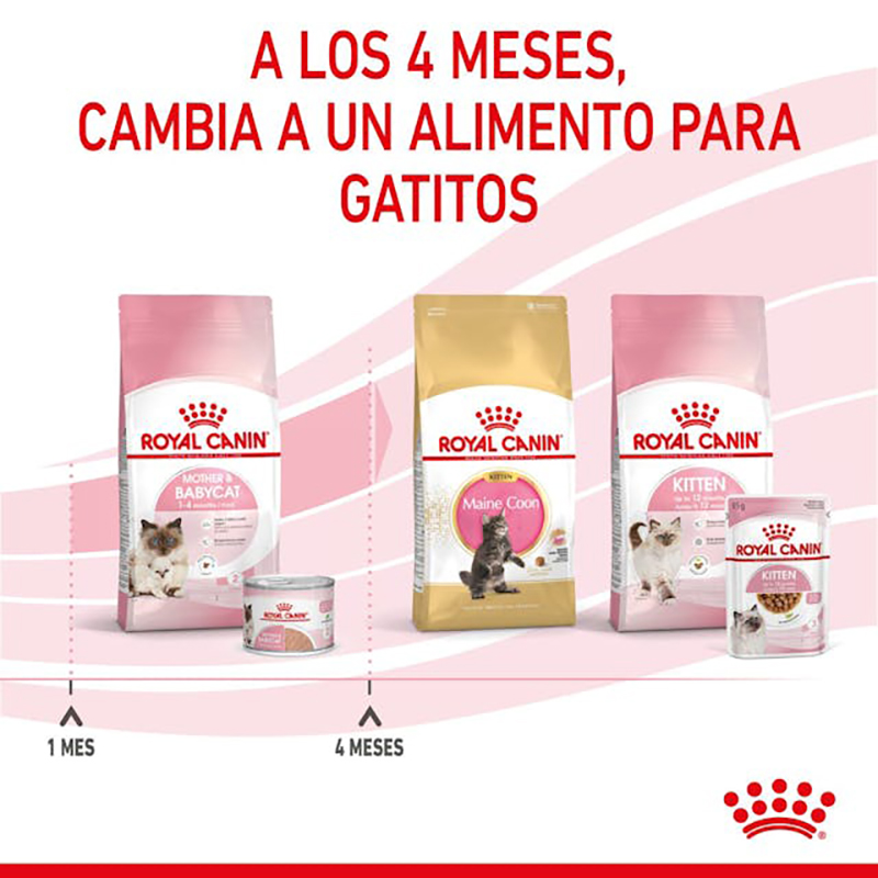 MOTHER & BABYCAT 195 GR LATA Mother &Amp; Babycat 195 Gr Lata