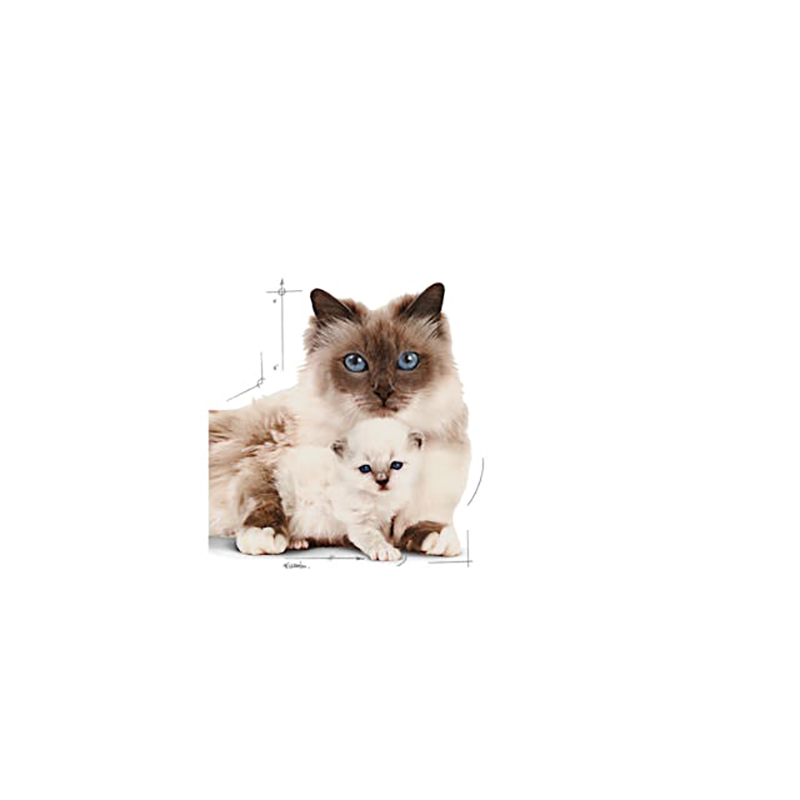 MOTHER & BABYCAT 195 GR LATA Mother &Amp; Babycat 195 Gr Lata