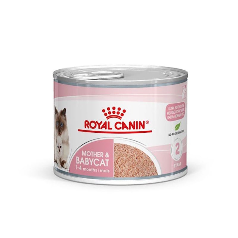 MOTHER & BABYCAT 195 GR LATA Mother &Amp; Babycat 195 Gr Lata