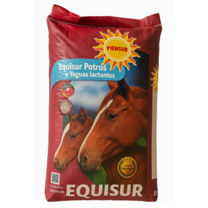 EQUISUR LACTANTES Y POTROS (POTRINA) 35 KG