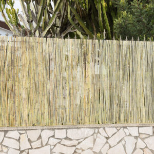 CAÑIZO 1/2 CAÑA 1 X 5 M