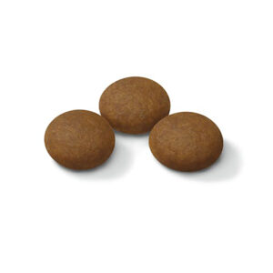 SPORT LIFE ENERGY TRAIL 4300 15 KG